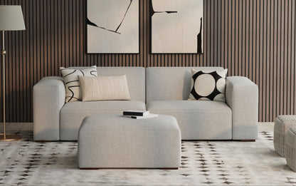 Pale Grey Performance Fabric | Rex 2 Seater Sofa and Ottoman in Performance Fabric