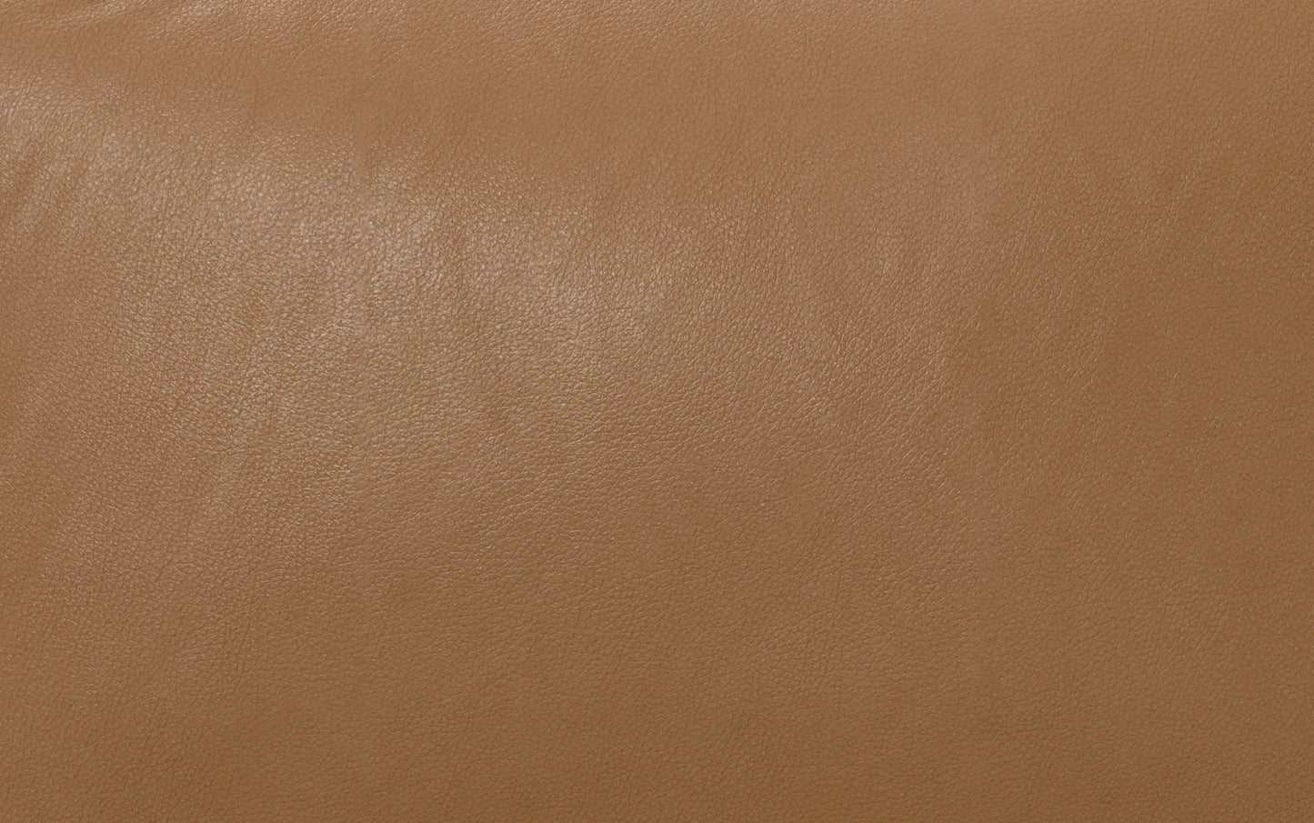 Butternut Brown Genuine Leather | Stevens 60 inch Loveseat in Genuine Leather