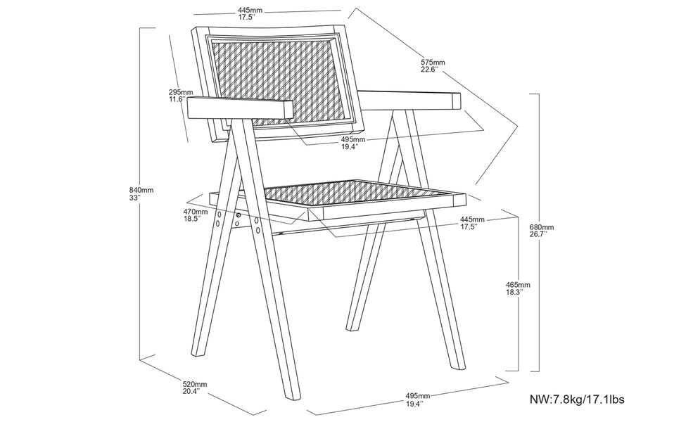 Black Rattan | Regina Dining Arm Chair (Set of 2)