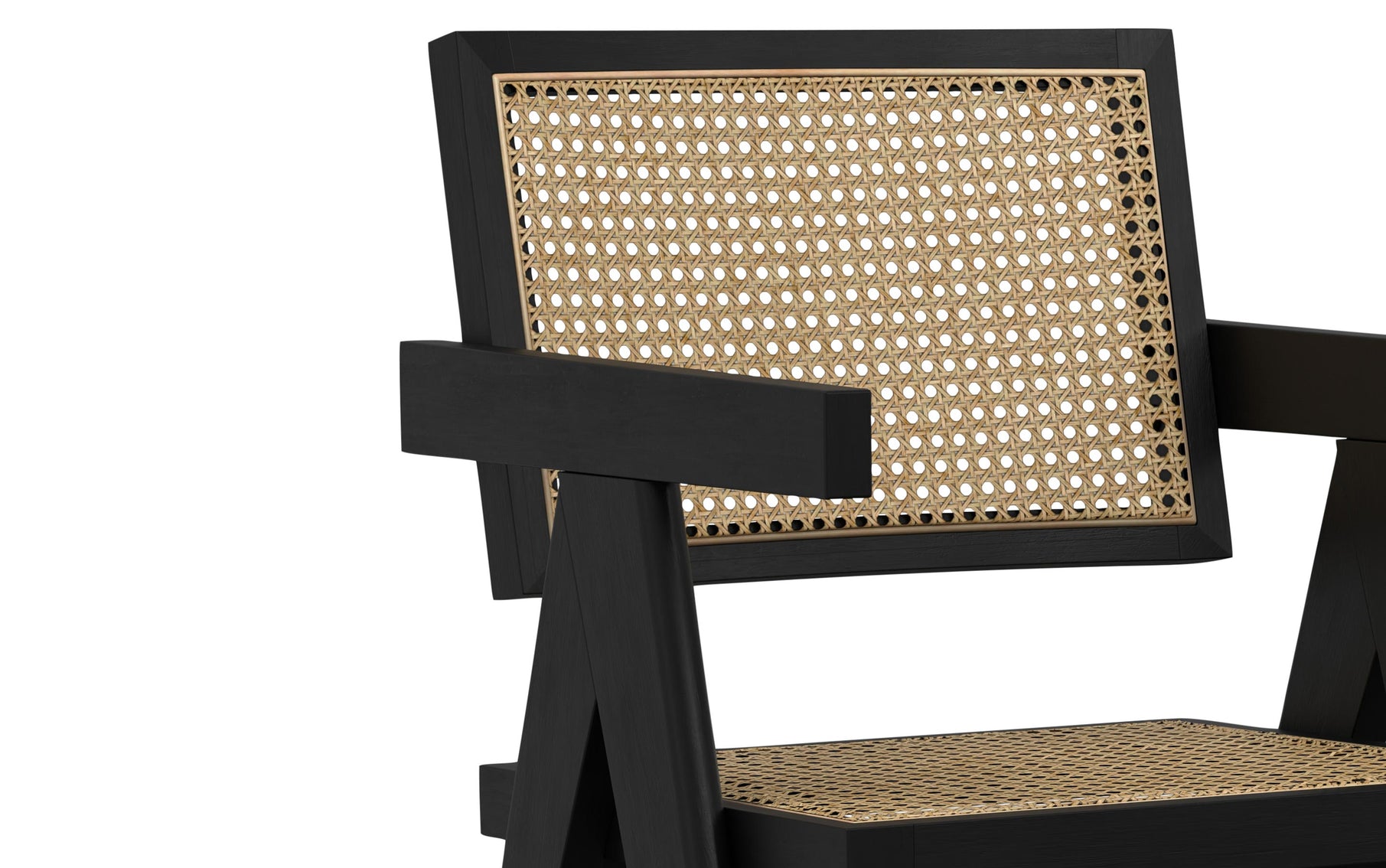 Black Rattan | Regina Dining Arm Chair (Set of 2)