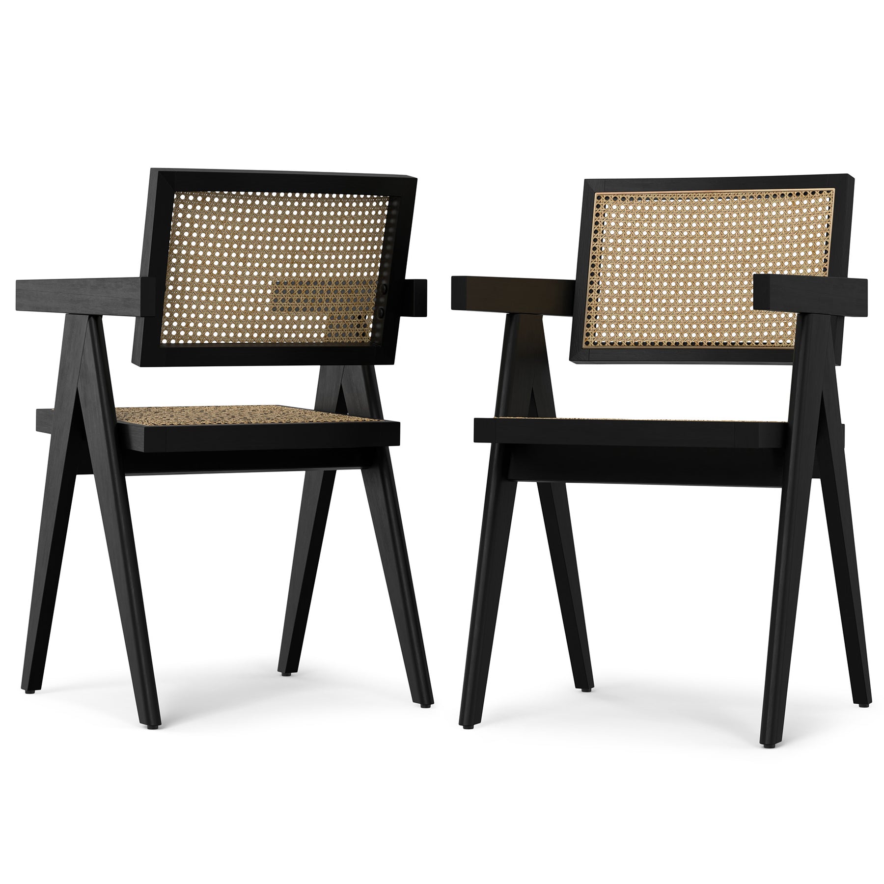 Black Rattan | Regina Dining Arm Chair (Set of 2)