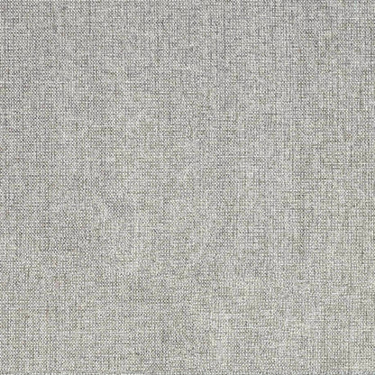 Pale Grey Swatch